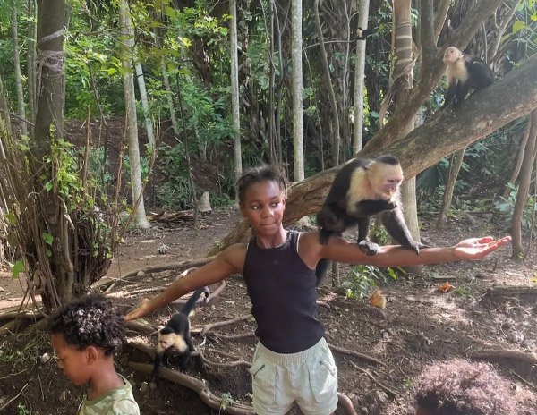 monkey-tour-costa-rica